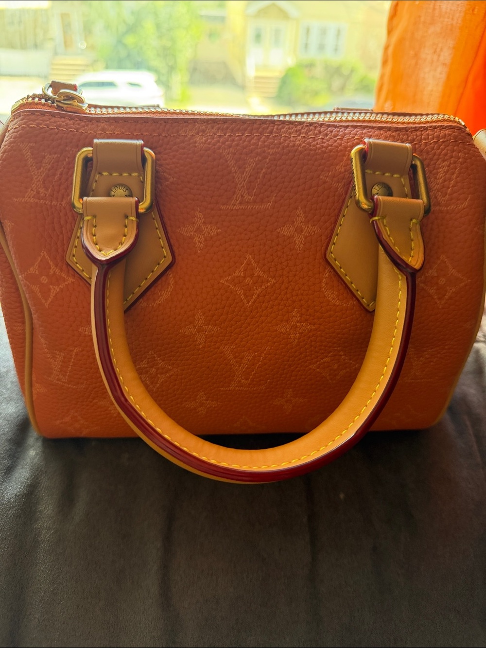 Louis vuitton Speedy P9 Bandoulière 20